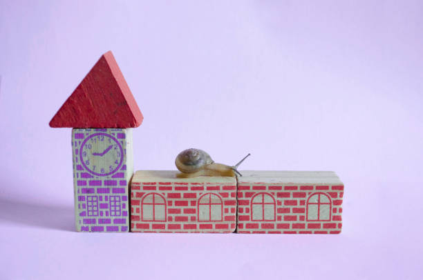 istock Snail strolling on top of a toy house 1407125919