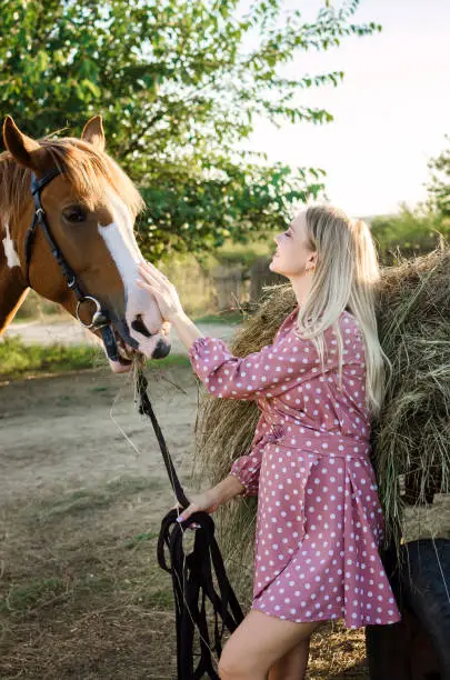 A young woman is stroking and smiling her horse near a hayloft on a farm countryside at sunset, soft light
