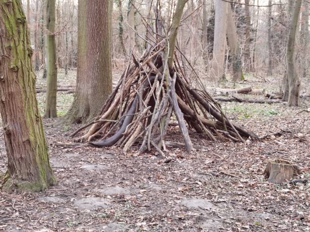 istock Preparation for May fire pyre in the forest 1407127407
