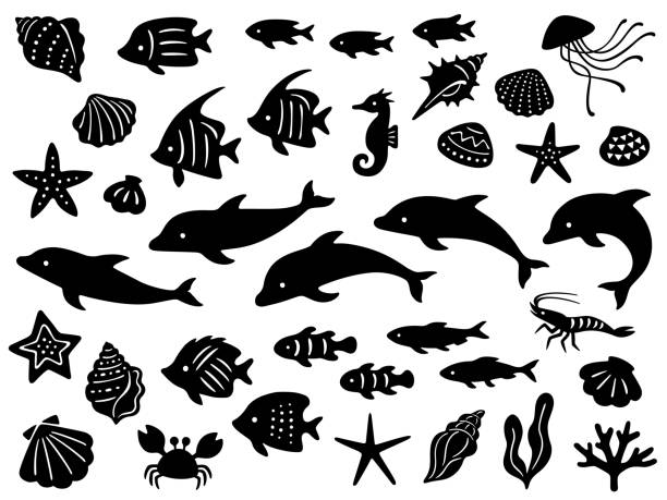 illustrationsset von delfinen und verschiedenen meeresbewohnern - tropical fish saltwater fish butterflyfish fish stock-grafiken, -clipart, -cartoons und -symbole