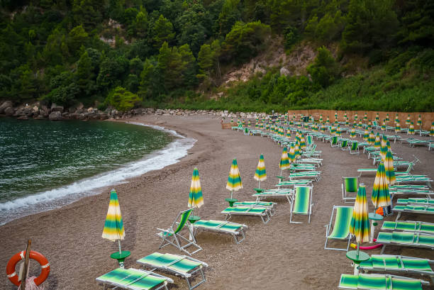 istock Sun loungers and umbrellas on the Sassolini beach. 1407129332