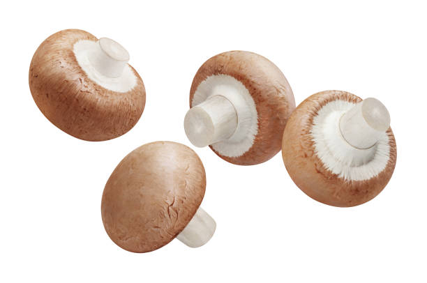 istock Flying delicious mushrooms on white 1407129482