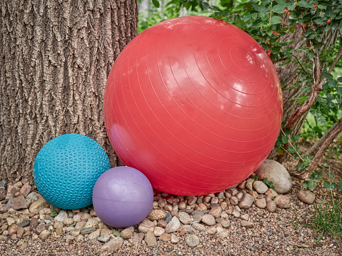 Balance Swiss, medicine and slam training balls in backyard - home fitness concept