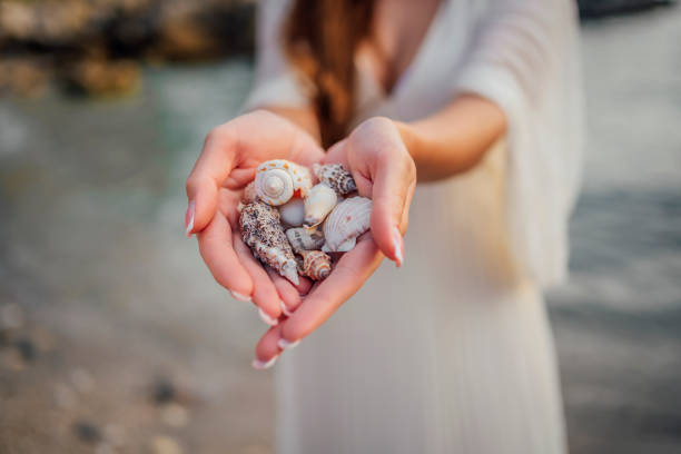 Woman holding seashells from the beach stock photo