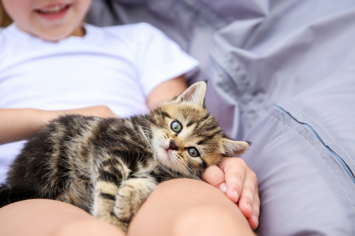 A child holds a small kitten and strokes it.