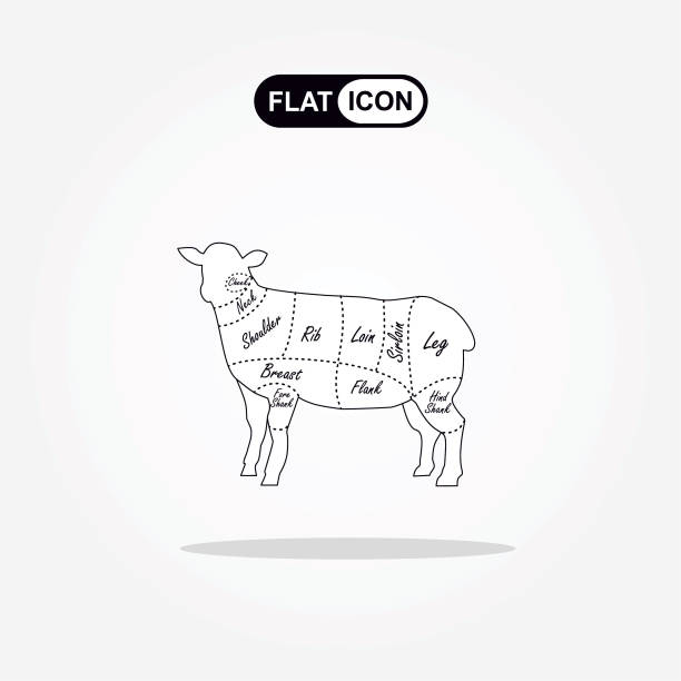 istock Cut of beef set. Poster Butcher diagram and scheme - Lamb. Vector illustration 1407133770