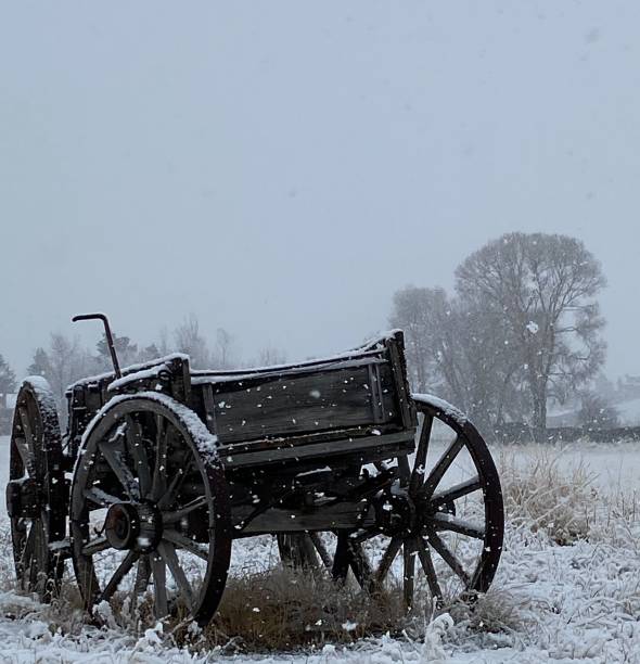 Snowy Wagon Spring photo of an old Wagon in Paradise Valley Montana. covered wagon horse cart snow winter stock pictures, royalty-free photos & images
