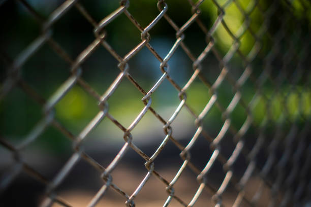 istock Close-up chain link fence , Sunset background 1407135114