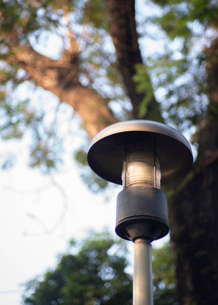 istock Close up light bulb, lamp isolated photo 1407135140