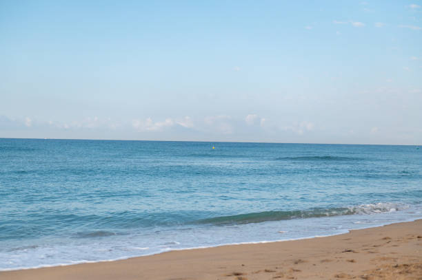 Wave rolls onto the sandy beach