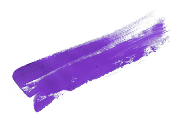 istock purple brush isolated on white background 1407135567