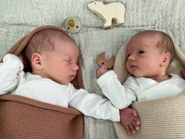 new born boy and girl twin in playpen - eeneiige tweeling stockfoto's en -beelden
