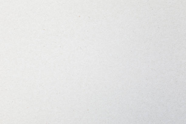 istock Grainy detail macro of paper texture 1407137747