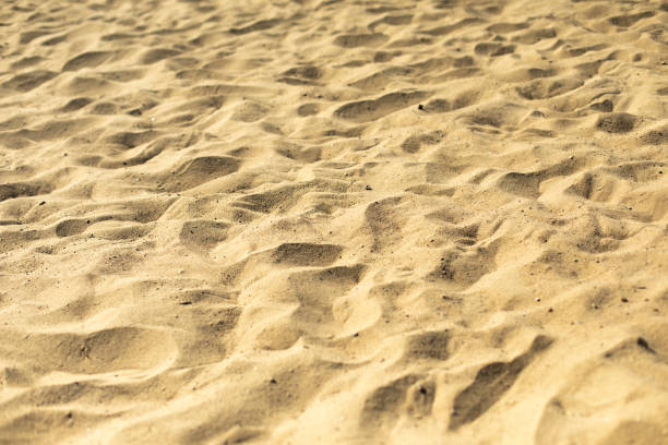 istock Yellow sand on beach. Texture of sand. Summer background. 1407138675