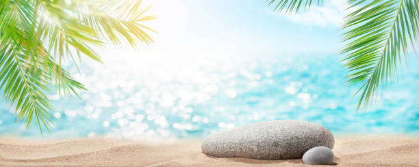 istock Tropical beach with palm leaves, bright sand and pebbles 1407140019