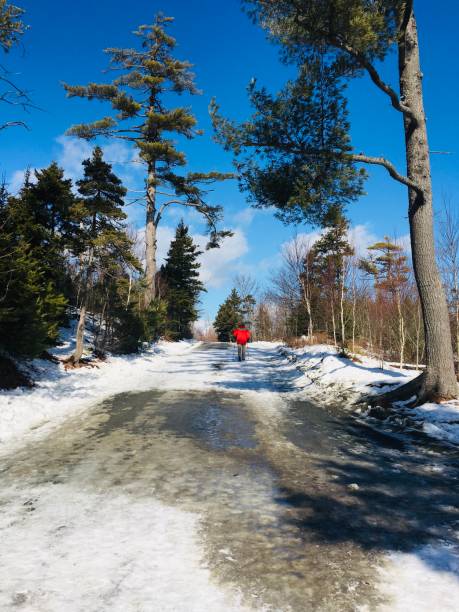 Point Pleasant Park in Winter