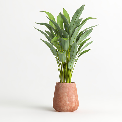 3d illustration of houseplant in terrazzo potted on white background
