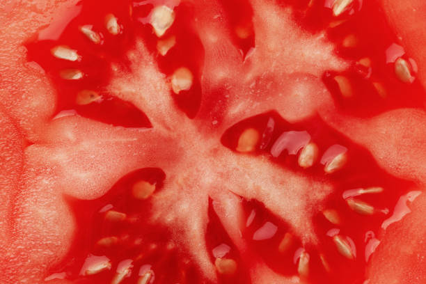 istock Macro photo of half cut tomato slice with seeds. 1407141647