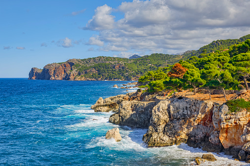 View of rocky coastline near by Cala Deia between Soller and Valldemossa in the northwest on Spanish Balearic island of Majorca / Spain.