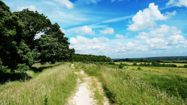 Footpath following the outline of a defensive earthwork at Badbury Rings, an iron age hill fort, Dorset, UK.