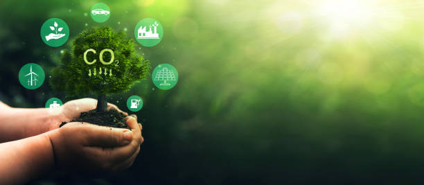 istock Renewable energy-based green businesses can limit climate change and global warming.Reduce CO2 emission concept.Clean and environmentally friendly environment without carbon dioxide emissions. 1407144584