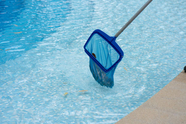 istock Close Up Workers are using a grid to collect leaves and rubbish that have fallen into the hotel swimming pool to keep the pool ready for use. 1407144627