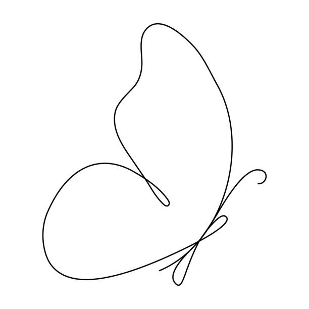 Butterfly flying continuous line art drawing. Butterfly flying continuous line art drawing. One line butter fly insect. Vector isolated on white. simple butterfly outline pictures stock illustrations