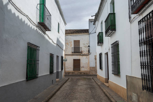 istock Traditional architecture in Almagro 1407147752