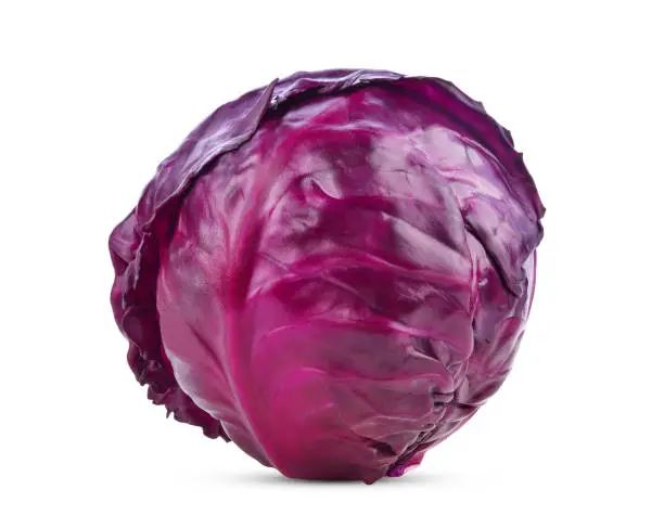 Red cabbage isolated on white background.