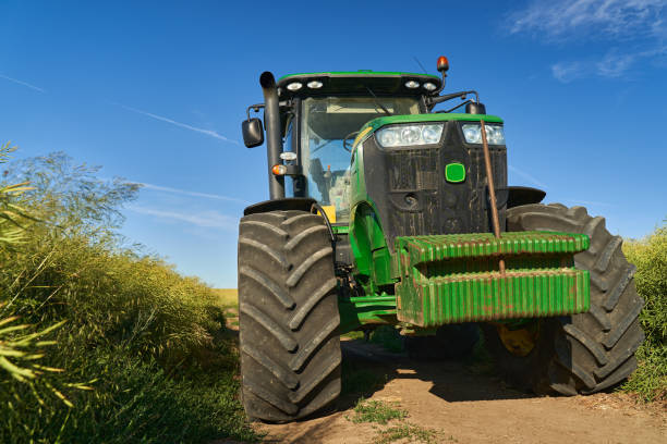 istock Big tractor in canola field 1407149265