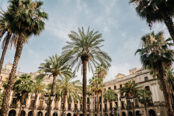 istock Plaza Real in Barcelona 1407149268