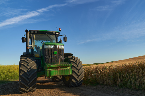 Big tractor by the ripe wheat field