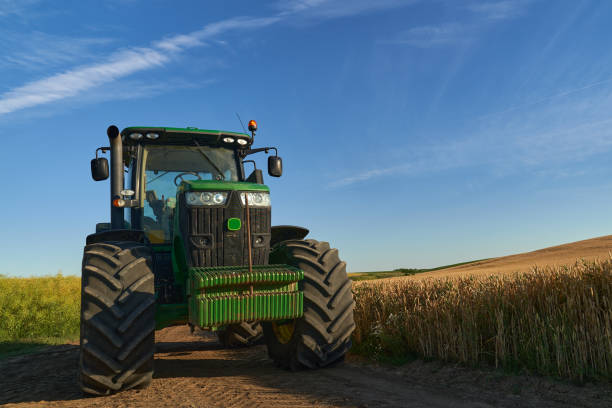 Tractor by the wheat field stock photo