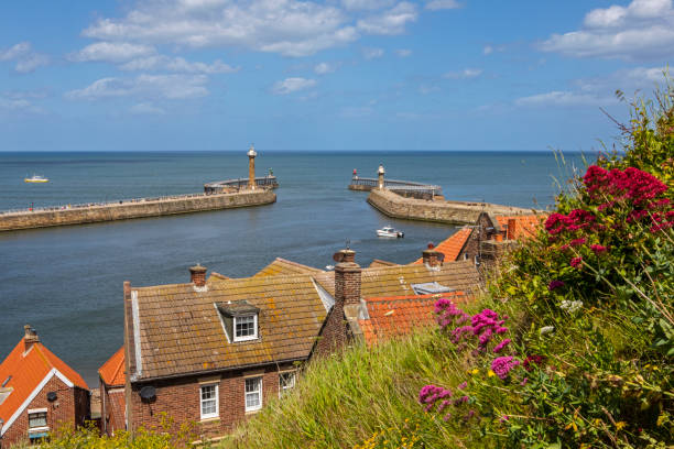 istock Whitby Harbour Lighthouses in North Yorkshire, UK 1407150414