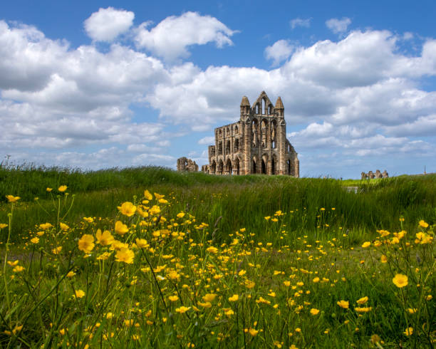 Whitby Abbey in North Yorkshire, UK