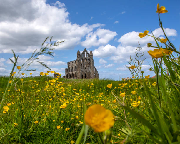 istock Whitby Abbey in North Yorkshire, UK 1407150677