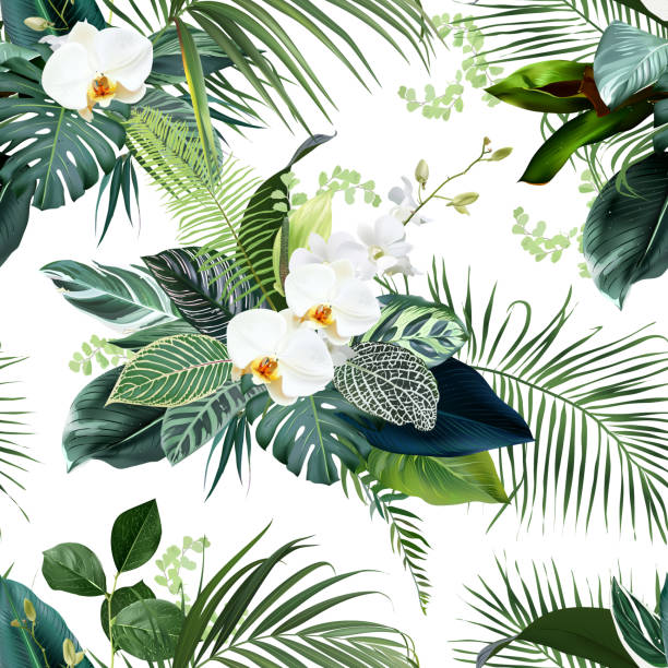 Tropical greenery print with exotic palm leaves, white orchid, monstera. Botanical emerald pattern Tropical greenery print with exotic palm leaves, white orchid, monstera. Botanical emerald pattern. Vintage style. Island design. Seamless summer vector pattern. Simple backdrop on white background tropical elegance stock illustrations