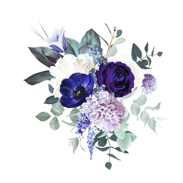 Periwinkle violet anemone, dark purple rose, dusty mauve and lilac hyacinth, allium Periwinkle violet anemone, dark purple rose, dusty mauve and lilac hyacinth, allium, white peony, bellflower, eucalyptus vector design bouquet.Stylish wedding flower.Elements are isolated and editable lavender lavender coloured bouquet flower stock illustrations