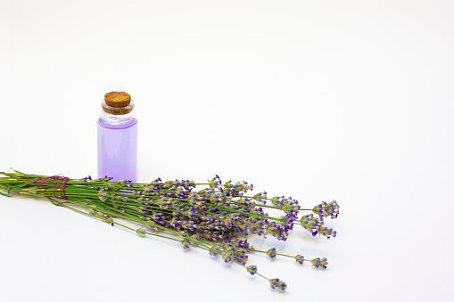 Bottle of lavender oil or lavender syrup and bunch of flowers on a white background with copy space.