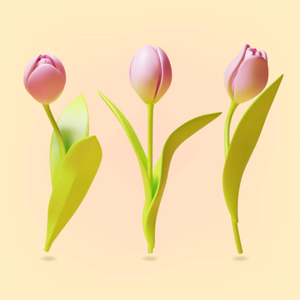 3d Tulips Flowers Set Plasticine Cartoon Style. Vector vector art illustration