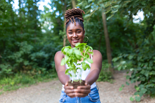 Young beautiful African woman holding a plant growing out of soil