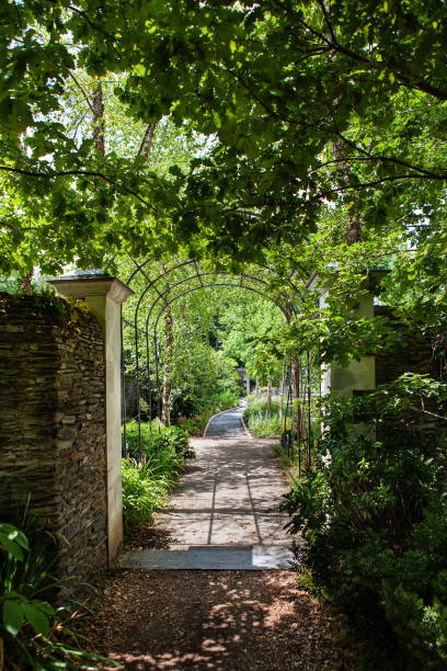 istock Welcome to the lush garden 1407155797