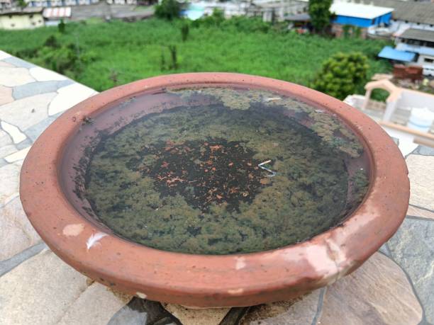 istock Water pot with green background 1407160557