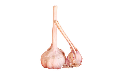 Two heads of fresh organic garlic isolated on white background.