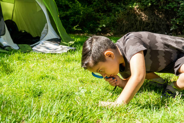 istock latin kid checking the grass with magnifying glass on a camping trip 1407164089