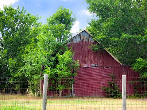 Red tin barn - Trees on each side and fence in foreground.  Barbed wire fence.