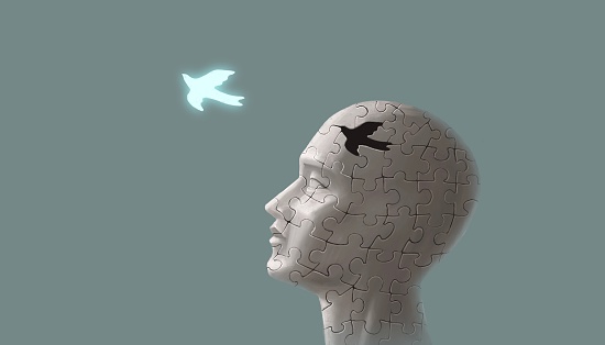 Conceptual art, concept of freedom, brain, life, mind, soul, spiritual, solution, and hope, surreal painting, A bird of jigsaw puzzle on human head.