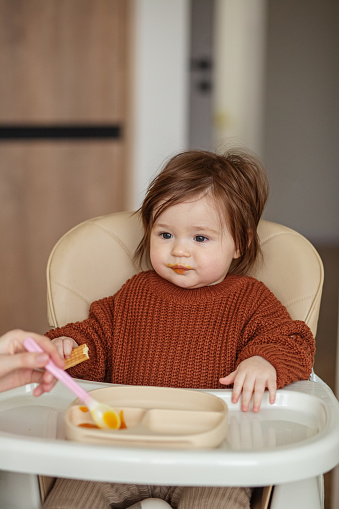 Delicious pumpkin and apple puree for babies. Toddler girl in brown sweater. Babysitter feeds small newborn baby in kitchen.
