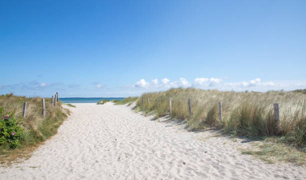 istock path in the sand dunes on Baltic Sea 1407165746