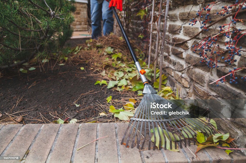 Fan rake remove fallen leaves from brick step Metal fan rake collects fallen leaves from a brick step on the edge of the land Dry Stock Photo